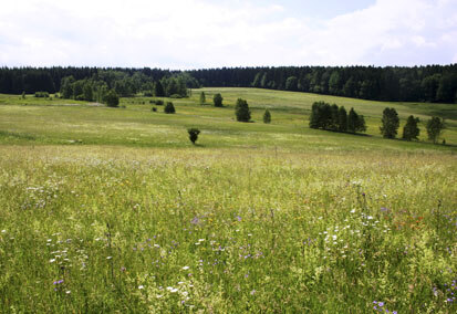 Blick auf den südlichen Teil des Bernsbacher Raumes (Foto: U. Fischer, Archiv Naturschutz LfULG)