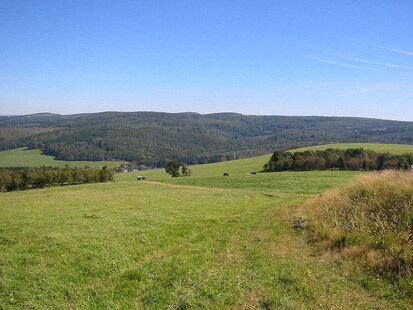 Teilgebiet 5: Frauenbachtal (Foto: Büro Schindler, Archiv Naturschutz LfULG)