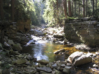 Im Zuge des Hochwassers 2002 zerstörte Brücke über die Schwarze Pockau im Jahr 2003. Die Brücke ist mittlerweile wieder hergestellt (Foto: Planungsbüro Lukas, Archiv Naturschutz LfULG)