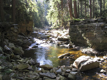 Im Zuge des Hochwassers 2002 zerstörte Brücke über die Schwarze Pockau im Jahr 2003. Die Brücke ist mittlerweile wieder hergestellt (Foto: Planungsbüro Lukas, Archiv Naturschutz LfULG)