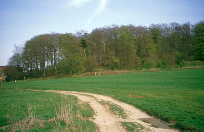 Typischer Pöhl in der vogtländischen Burgsteinlandschaft (Foto: S. Krause, Archiv Naturschutz LfULG)