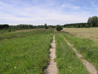 Grünes Band westlich Gutenfürst (Foto: H. Blischke, Archiv Naturschutz LfULG)