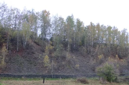 Schwermetallhalde bei Freiberg (Foto: C. Hettwer, Archiv Naturschutz LfULG)