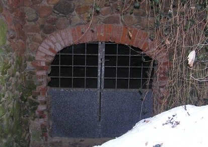 Einflugbereich Kellergewölbe (Foto: IVL/ NFG Ökologische Station Borna-Birkenhain e.V., Archiv Naturschutz LfULG) 