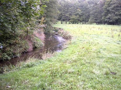 Sonnenexponierter Abschnitt der Pulsnitz an der Gräfenhainer Brücke mit Vorkommen der Grünen Keiljungfer (Foto: IVL, Archiv Naturschutz LfULG)