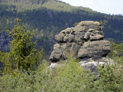 Silikatfelsen mit Felsspaltenvegetation, Felsbildung „Dackel“, Jonsdorfer Felsenstadt und Mühlsteinbrüche (Foto: GfN Priegnitz, Archiv Naturschutz LfULG)