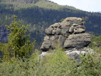 Silikatfelsen mit Felsspaltenvegetation, Felsbildung »Dackel«, Jonsdorfer Felsenstadt und Mühlsteinbrüche (Foto: GfN Priegnitz, Archiv Naturschutz LfULG)