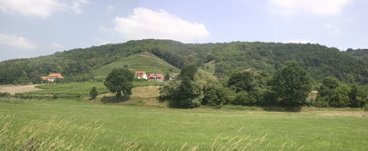 Rysselkopf und Borsberghänge (Foto: Planungsbüro Illig-Kläge-Ludloff GbR, Archiv Naturschutz LfULG)