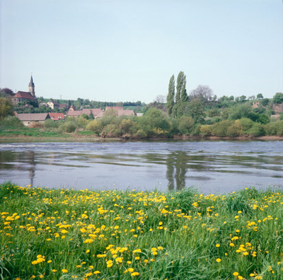 Elbe bei Zehren (Foto: J. Hennersdorf, Archiv Naturschutz LfULG)