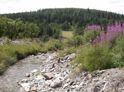 Oberlauf der Wilden Weißeritz nahe der deutsch-tschechischen Grenze südlich Rehefeld (Foto: T. Sy, Archiv Naturschutz LfULG)
