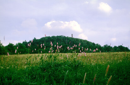 Geisingberg (Foto: U. Grebedünkel, Archiv Naturschutz LfULG)