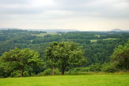 Trebnitztal – Ausblick in der Nähe von Döbra, Streuobstwiese im Vordergrund (Foto: S. Jahn, Archiv Naturschutz LfULG)