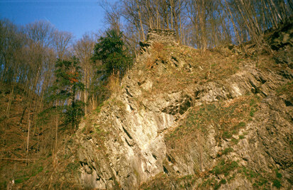 Diabas/Kalkschieferfelsen des Elbtalschiefergebirges (Foto: S. Slobodda, Archiv Naturschutz LfULG)