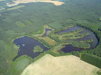 Die Teichgruppe Eutrich mit Dorfteich, Dreischenkenteich und Großteich (Foto: F. Meyer, Archiv Naturschutz LfULG)