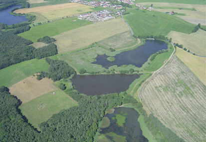 Teil der Teichgruppe Welxande mit Steinigt-, Hammel-, Mittel- und Pferdeteich (Foto: F. Meyer, Archiv Naturschutz LfULG)