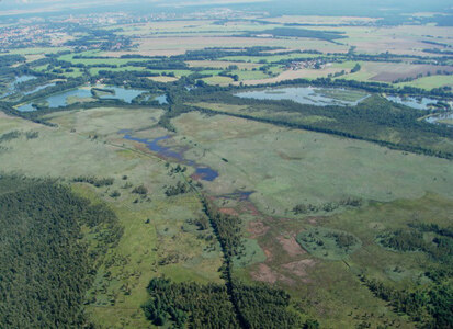 Naturschutzgebiet Dubringer Moor (Foto: F. Meyer, Archiv Naturschutz LfULG)