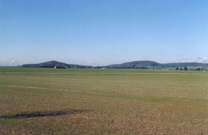 Dübener Heide südwestlich Winkelmühle (Foto: ARGE Morgenstern/ Löffler/Schindler, Archiv Naturschutz LfULG)
