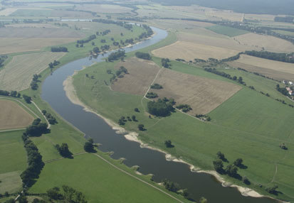 Elbe bei Kunzwerda nördlich von Torgau (Foto: F. Meyer, Archiv Naturschutz LfULG)