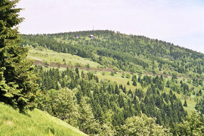 Fichtelberg-Südhang, Blick zum Kleinen Fichtelberg (Foto: Stacke, Archiv Naturschutz LfULG)