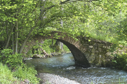 Schafbrücke, historische Steinbogenbrücke über den Kemnitzbach (Foto: S. Thoß, Archiv Naturschutz LfULG)