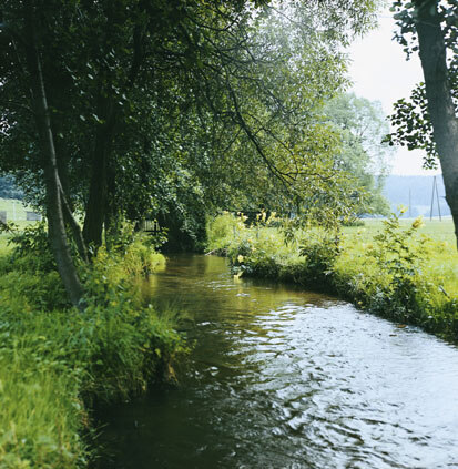 Raunerbach bei Raunerhammer – Habitat der Flußperlmuschel (Foto: W. Fiedler, Archiv Naturschutz LfULG)