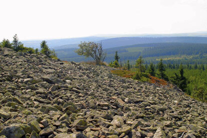 Blockhalde Kahleberg (Foto: W. Buder, Archiv Naturschutz LfULG)