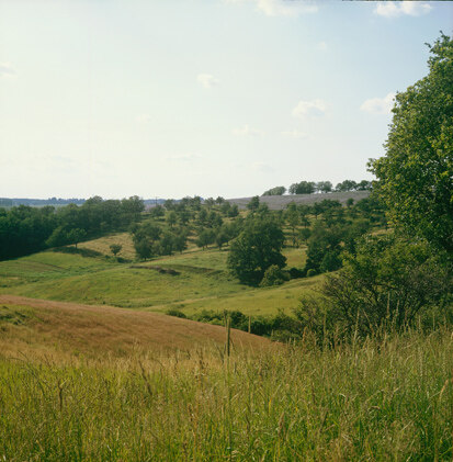 Streuobstwiese (Foto: U. Zöphel, Archiv Naturschutz LfULG)