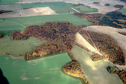 Blick von Süden auf den bewaldeten Monumentshügel Schrägluftbild (Foto: M. Höhne, Archiv Naturschutz LfULG)