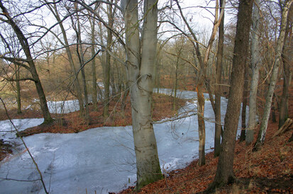 Spree-Altarm bei Bärwalde (Foto: F. Klenke, Archiv Naturschutz LfULG)