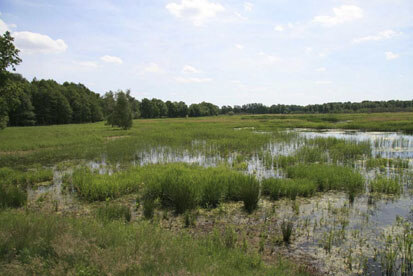 Schlossteichgebiet Klitten (Foto: lutra, Archiv Naturschutz LfULG)