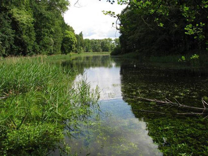 Schwarzer Schöps oberhalb Horscha (Foto: G. Hintemann, Archiv Naturschutz LfULG)