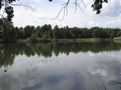 Ullersdorfer Teiche (Foto: G. Hintemann, Archiv Naturschutz LfULG)