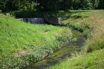 Fließgewässer bei Schöpstal und Kodersdorf (Foto: R. Pausch, Archiv Naturschutz LfULG)