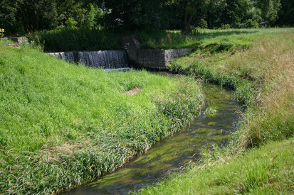 Fließgewässer bei Schöpstal und Kodersdorf (Foto: R. Pausch, Archiv Naturschutz LfULG)