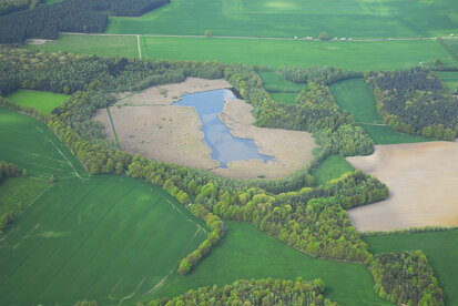 Blick von Süden auf den Litzenteich und seine breite Verlandungszone (Foto: M. Höhne, Archiv Naturschutz LfULG)