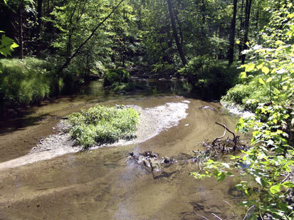 Spreeverlauf im südlichen Teil des Spreeparkes (Foto: Krüger & Jedzig, Archiv Naturschutz LfULG)