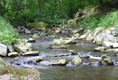 Schwarzwasser unterhalb Spittwitz (Foto: Büchner & Scholz, Archiv Naturschutz LfULG)