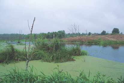 Naturschutzgebiet Königsbrücker Heide – Biberstau bei Otterschütz (Foto: K. Jennemann, Archiv Naturschutz LfULG)