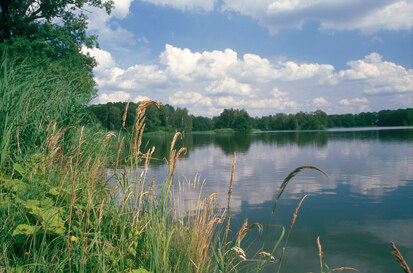 Großer Biwatschteich (Foto: G. Fünfstück, Archiv Naturschutz LfULG)