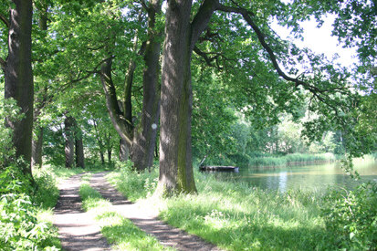 Am Großen Rohrbacher Teich (Foto: O. Harig, Archiv Naturschutz LfULG) 