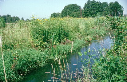 Ruhländer Schwarzwasser (Foto: G. Engler, Archiv Naturschutz LfULG)