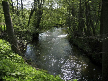 Obere Wesenitz (Foto: Büro Schütze und Partner, Archiv Naturschutz LfULG)