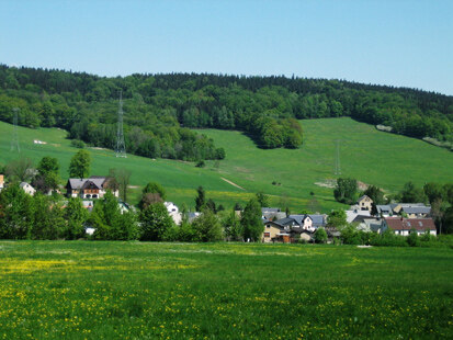 Blick zum ehemaligen Bauernwald am Südhang des Picho (Foto: Schütze und Partner, Archiv Naturschutz LfULG)
