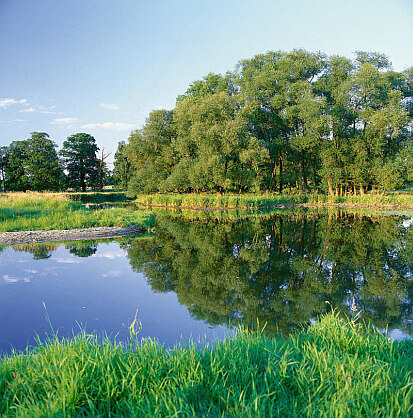 Röderaue bei Rödern (Foto: W. Böhnert, Archiv Naturschutz LfULG)