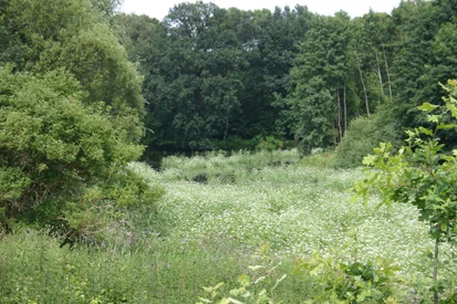 Hopfenbachtal (Foto: O. Harig, Archiv Naturschutz LfULG)