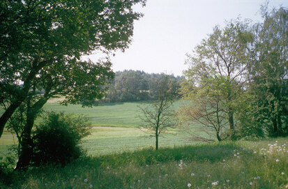 Kleinkuppenlandschaft, Blick über den Simonberg (Foto: S. Slobodda, Archiv Naturschutz LfULG)