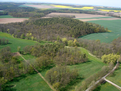 Blick auf die Winzerwiese, Schrägluftbild (Foto: A. Jagiella, Archiv Naturschutz LfULG) 