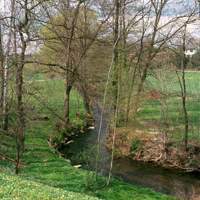 Wesenitzaue (Foto: K. Blut, Archiv Naturschutz LfULG)