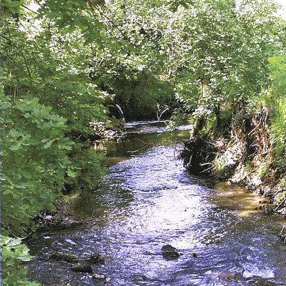 Jahnaniederung (Foto: W. Buder, Archiv Naturschutz LfULG)