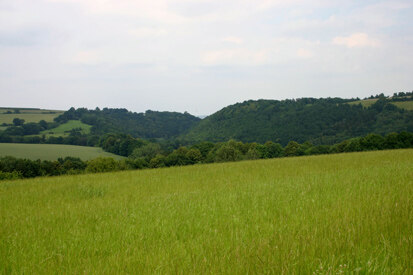 Ausblick zum Gerbergrund (Foto: S. Jahn, Archiv Naturschutz LfULG)